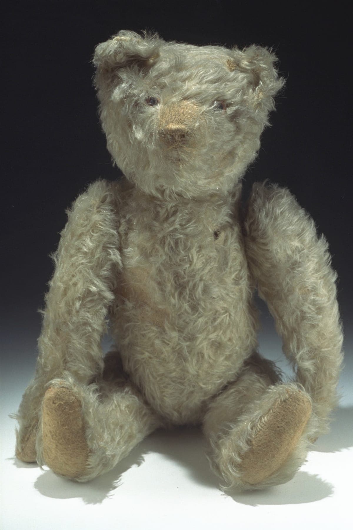 Teddy Bear, circa 1920