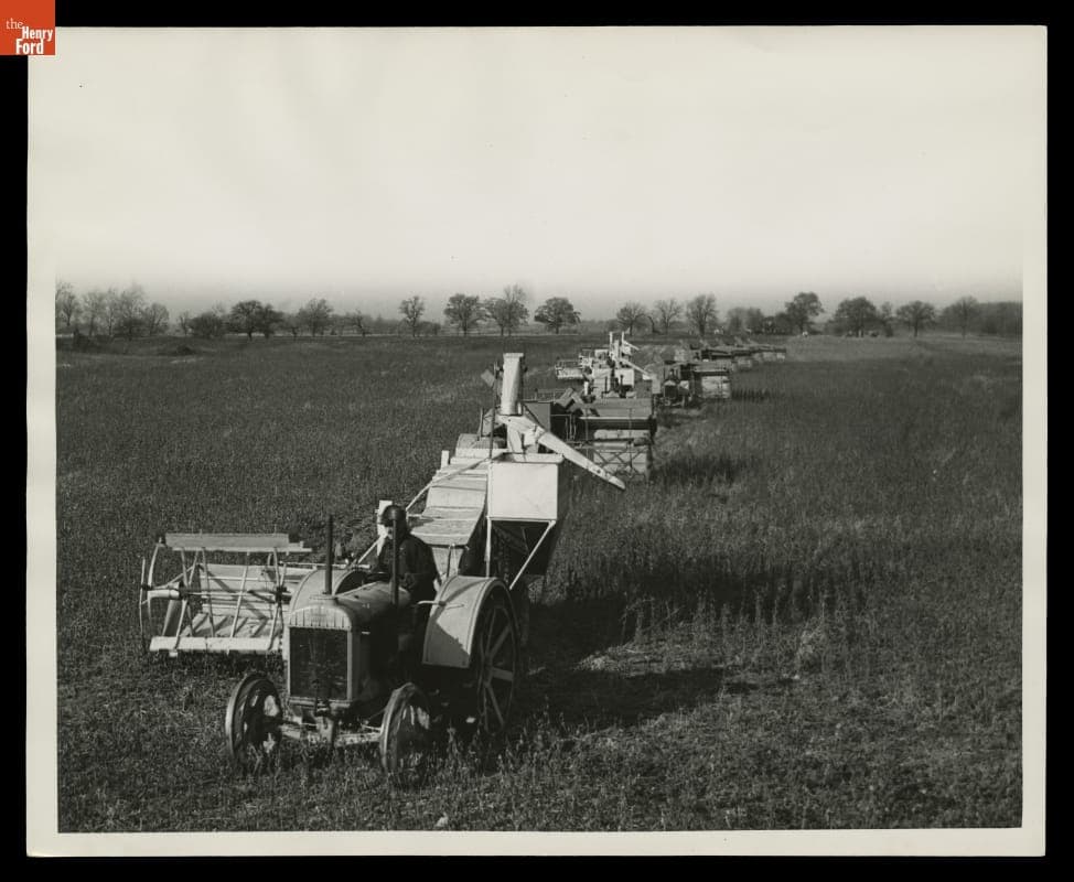 Combines Harvesting Soybeans on Ford Farm, Macon, Michigan, November 1936