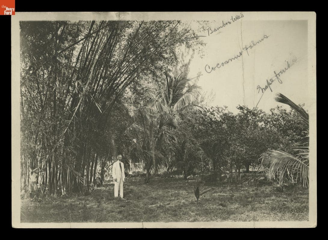 Grounds of "The Mangoes," Winter Estate of Henry and Clara Ford, circa 1920