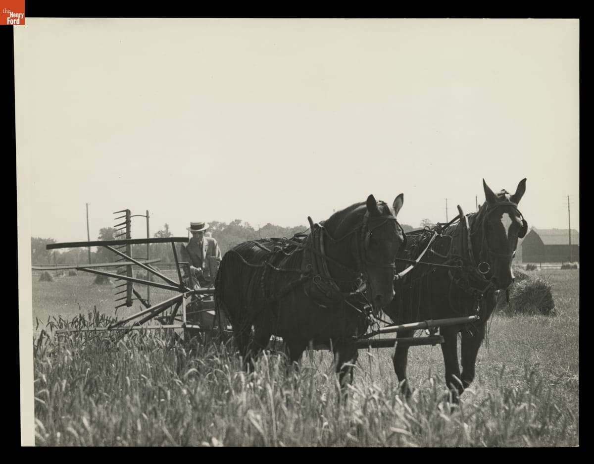 Henry Ford Driving a Reaper, July 1936
