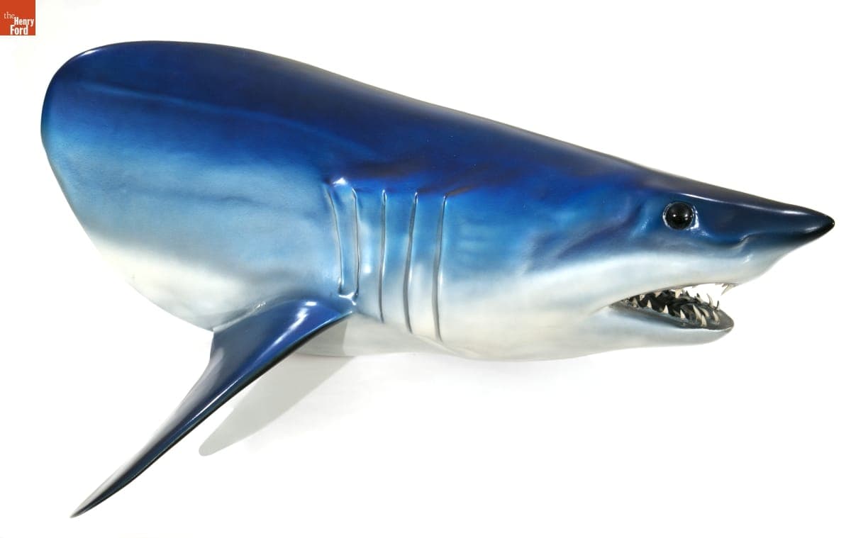 Shark Cast Used by William Mitchell as Inspiration for 1963 Corvette Styling