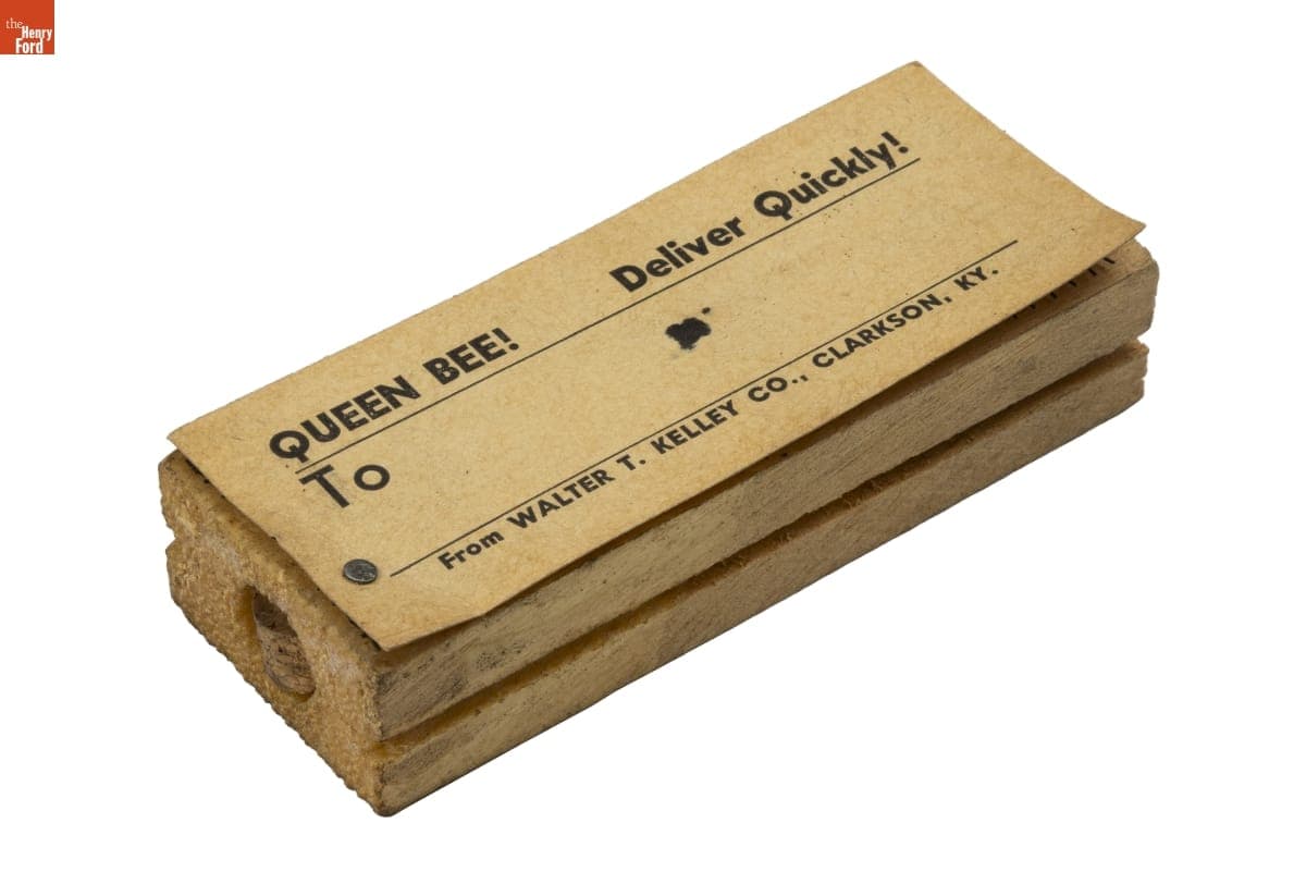 Queen Bee Box, circa 1961