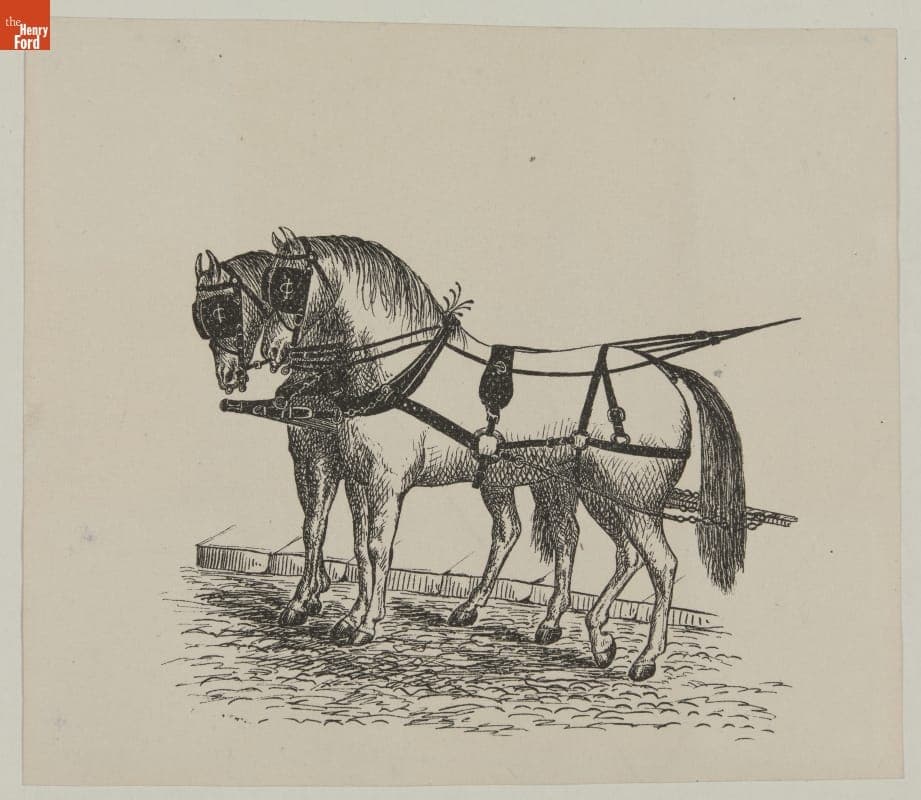 Wood Engraving of a Team of Horses in a Heavy Draft Harness, circa 1884