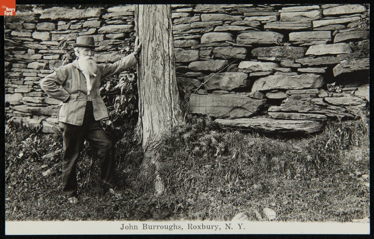John Burroughs Leaning on a Tree, Roxbury, New York, circa 1915