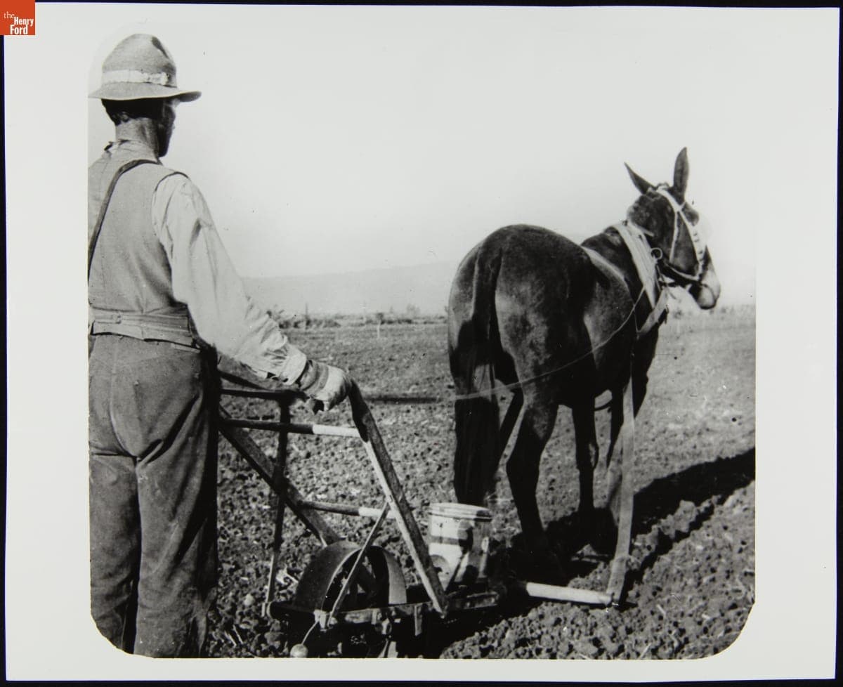 A Farmer Works in a Field with a Mule-Drawn Drill Planter, 1870-1890