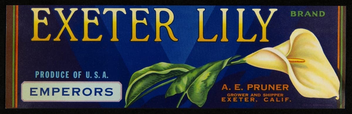 Crate Label, "Exeter Lily Brand Emperor Grapes," 1940-1950