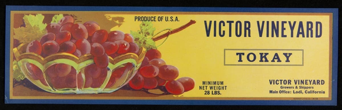 Crate Label, "Victor Vineyard Brand Tokay Grapes," 1920-1930