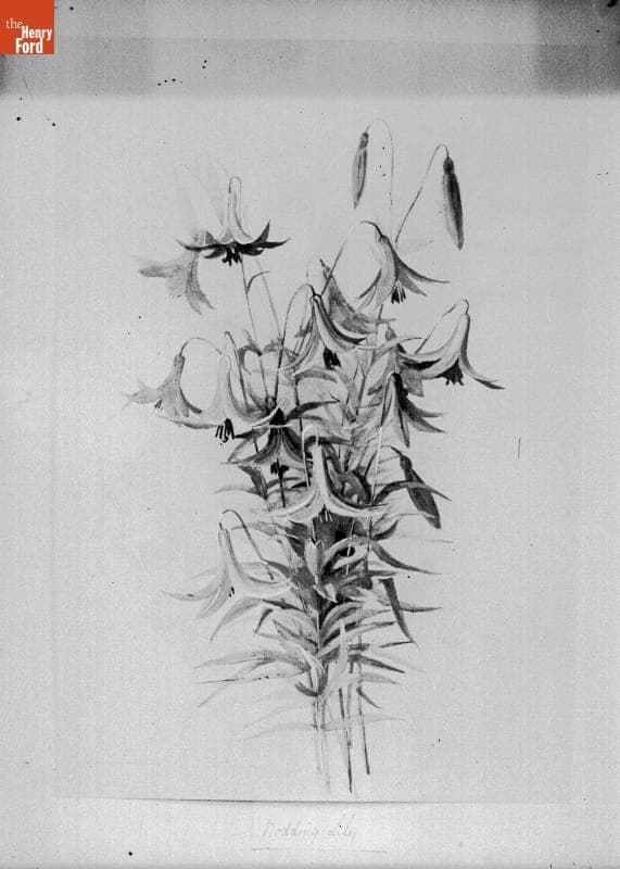 Painting, Flowers (Miss Lugneer), 1890-1915