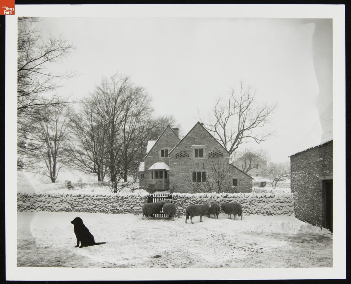 "Rover" the Dog outside Cotswold Barn in the Snow, Greenfield Village, January 1931