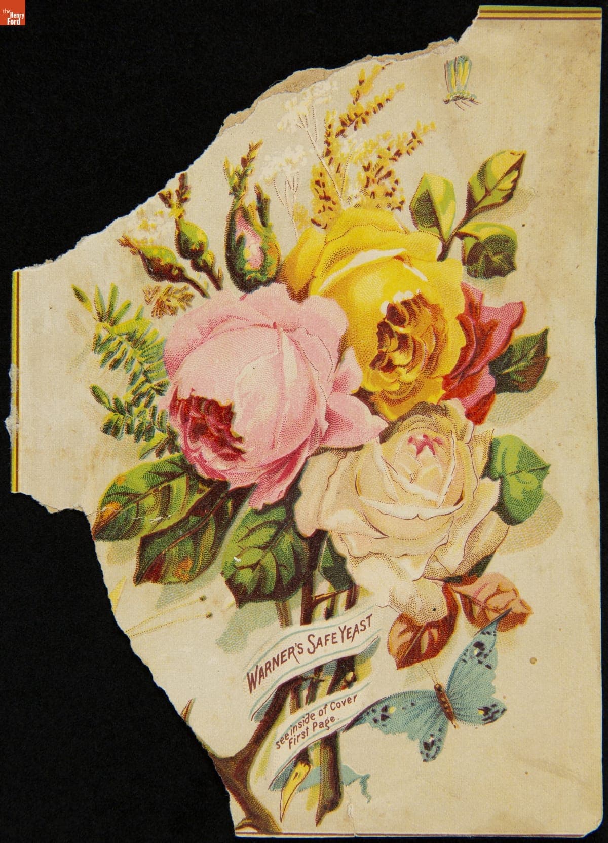 Trade Card for Warner's Safe Yeast, H.H. Warner & Co., 1885-1900