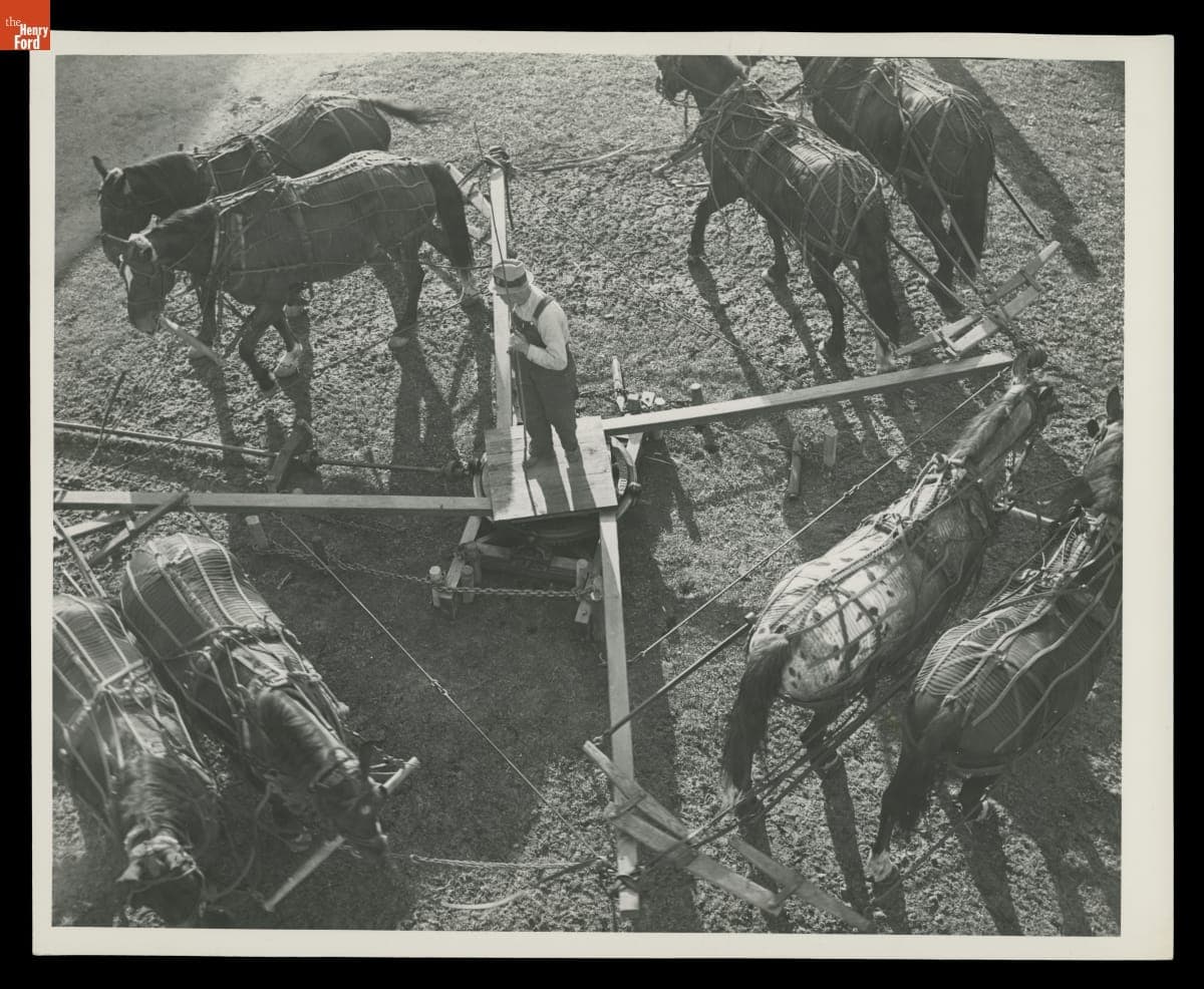 Horse-Powered Threshing at Ford Homestead, circa 1930