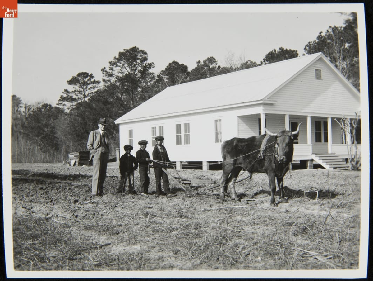Henry Ford and three youngsters with a steer harnessed to a plow, near Richmond Hill, Georgia, circa 1941