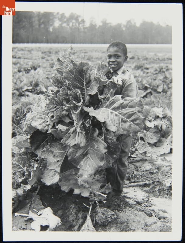 Child in a school vegetable garden holding a “big bunch” described as “a popular green vegetable in the South,” near Richmond Hill, Georgia, circa 1940