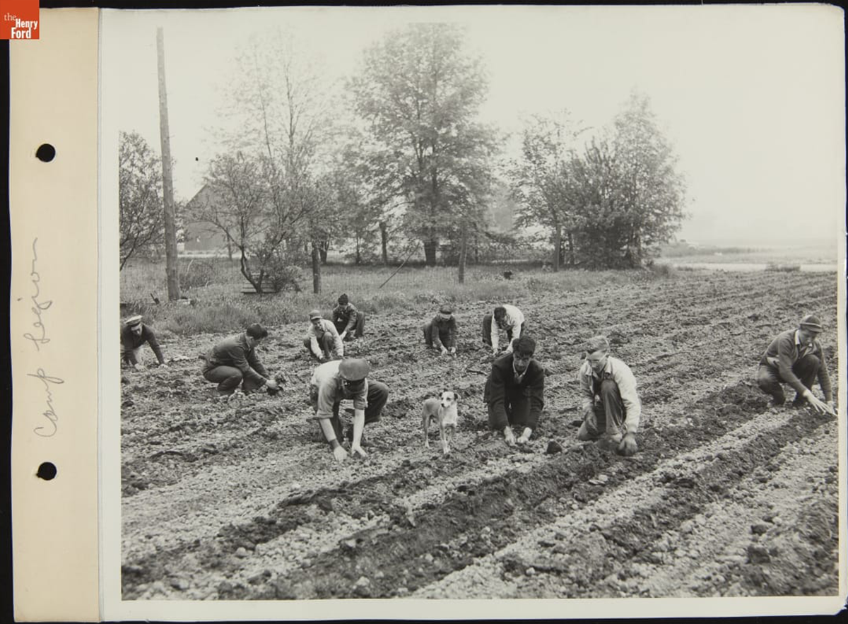 Camp Legion boys planting fields, May 1943