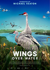 Wings Over Water Movie poster