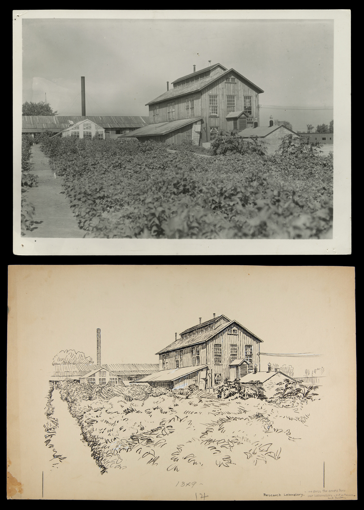 Soybean Laboratory in Greenfield Village.