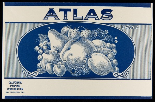 Etching of a variety of fruit in blue tones; contains large text "Atlas"