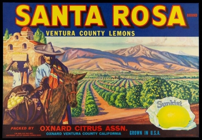 Drawing, "Cylinder Block," Ford Model A, March 15, 1928 Three sheets with intricate drawings, notations and text