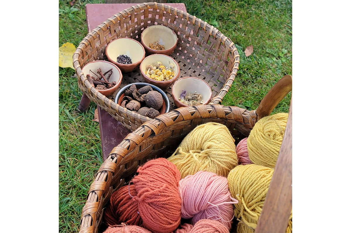  Raw material examples of dyes, including Black Walnut, Madder Root, Cochineal, Osage Orange, Golden Marguerite, and Blue Flag Iris
