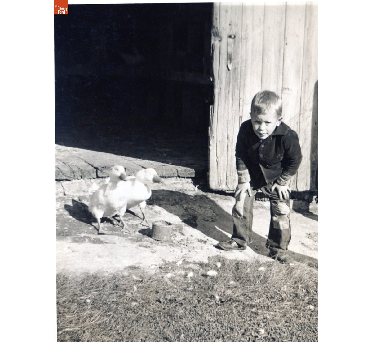 Bobby Kelley with ducks at the Kelley farm barn door, 1948 / THF720525