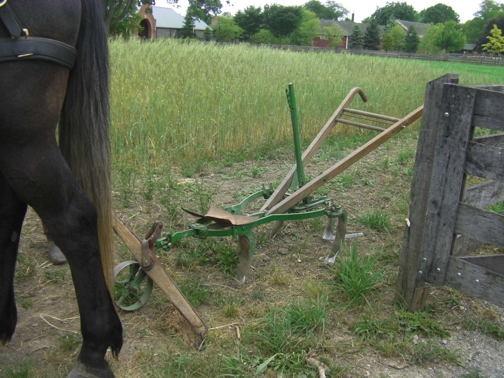 Horse-drawn cultivator