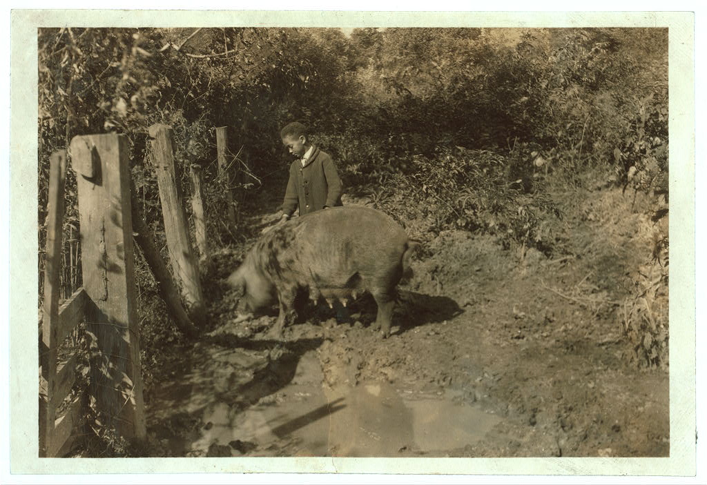 Austin Curtis, Jr., 10 years old, with his "pig project" Young boy in suit stands next to large pig in a muddy area by a fence