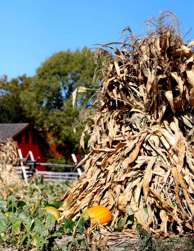 fallflavor10 Fall Flavor Weekends