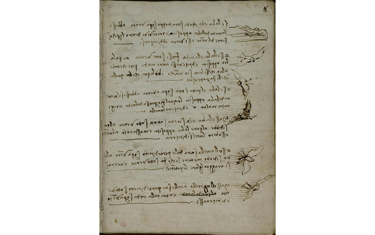 Page from the Codex on the Flight of Birds, 1505-1506. Da Vinci's observations on bird flight were accompanied by drawings of birds in motion.