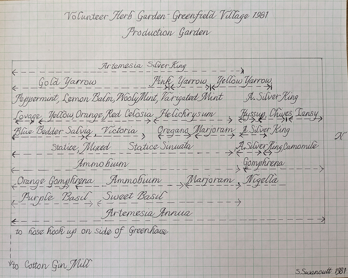 Map of the VHA production garden, drawn by Shirley Swancutt, 1981.