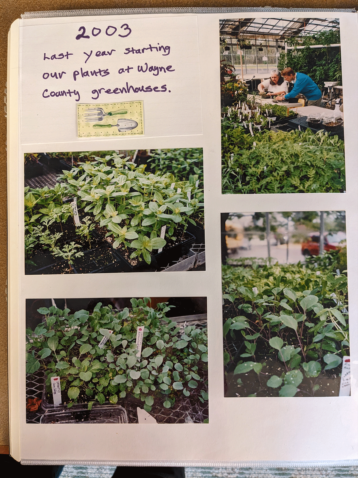 Page from a scrapbook in the records of the Village Herb Associates.