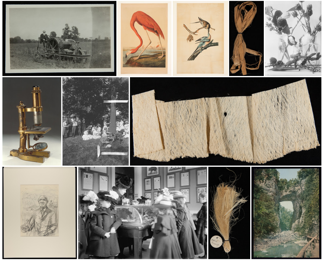 history-collage history-collage