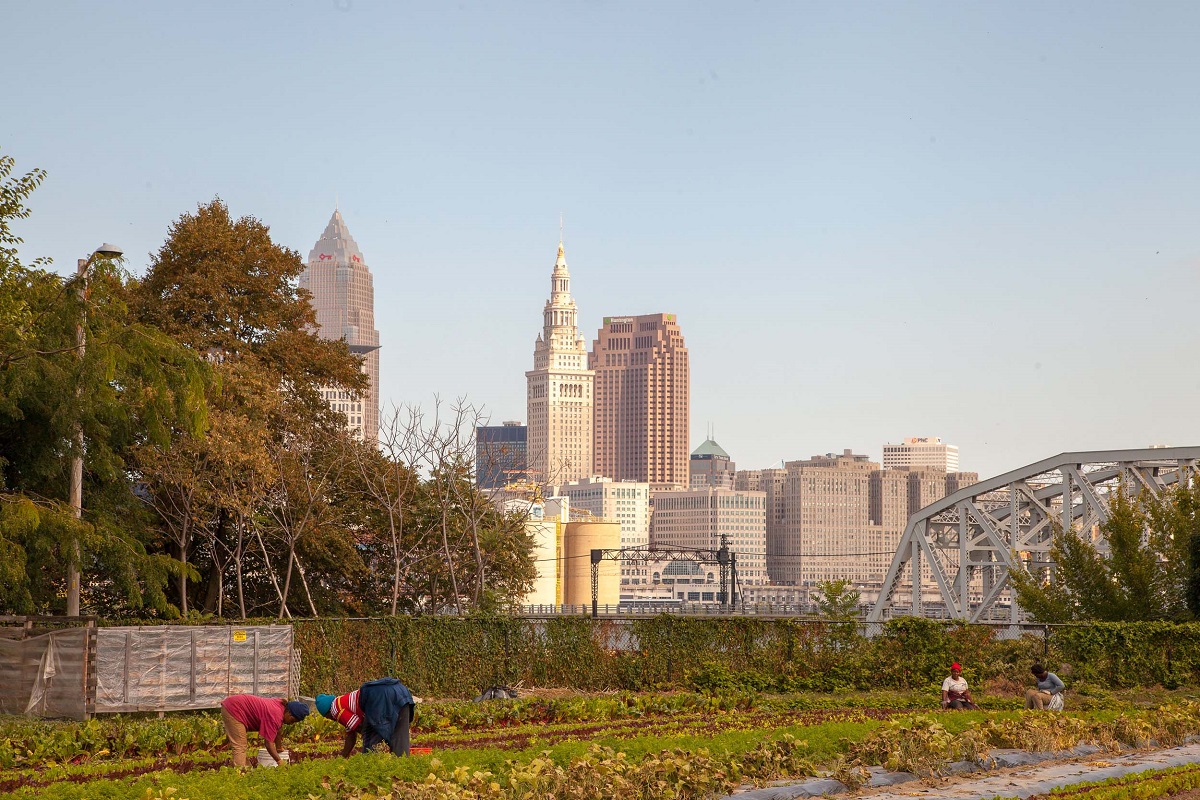 Several people work on a farm plot with a city skyline in the background