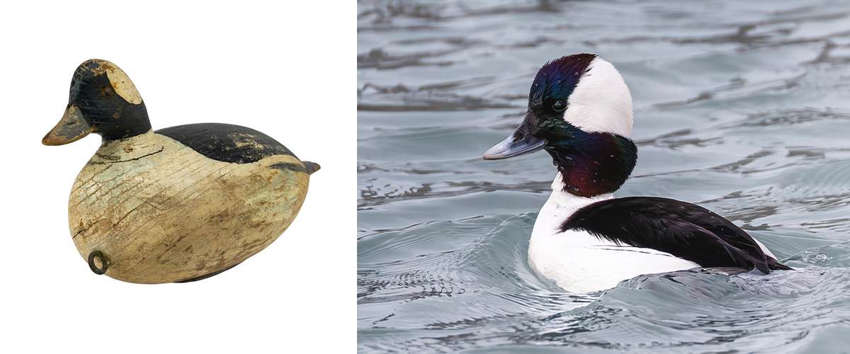 hudson_THF810955 a wooden duck decoy and a duck with a white and black head