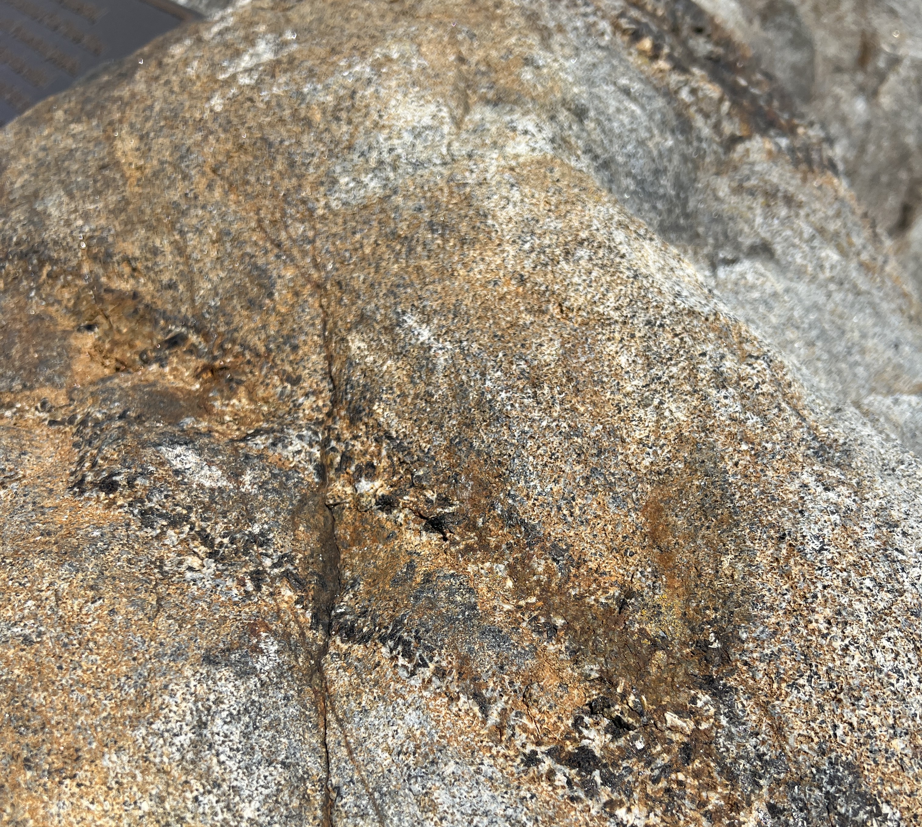 Close-up of a large gneiss boulder with a rough, textured surface showing bands and flecks of gray, tan, black, and white minerals. The stone's varied colors and patterns are visible across its weathered face.