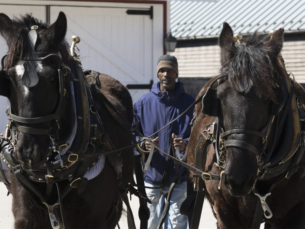 Melvin Parson driving 2 horses