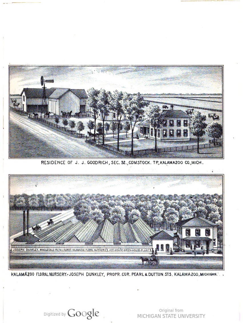 msu.31293103504787-seq_937 msu.31293103504787-seq_937