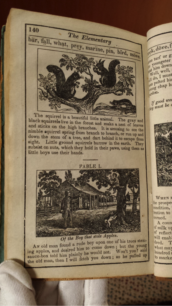 noah-webster-closeup