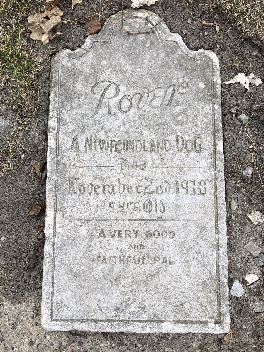 Rover's Gravestone Gravestone, lying flat on ground, containing text "Rover, a Newfoundland Dog, Died November 2nd, 1938, 9 Yrs. Old, A Very Good and Faithful Pal"