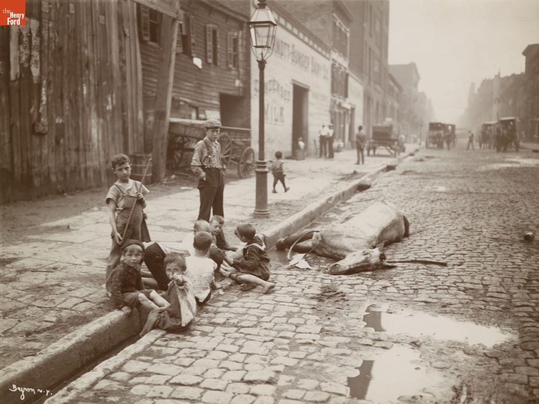 "The Close of a Career in New York," 1900-1906 City street scene in which a group of children sit and stand by a street curb; a dead horse lies near them at the side of the road