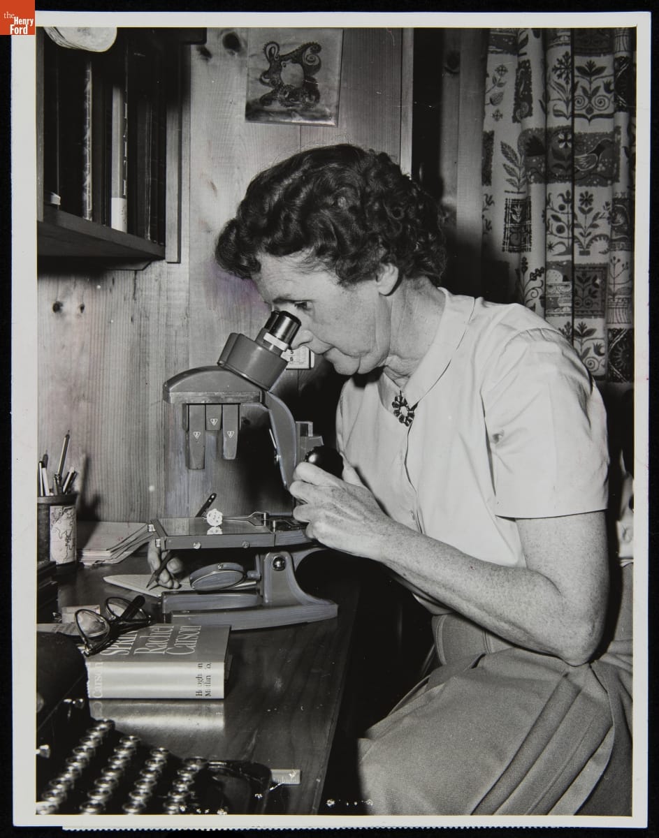 Rachel Carson Using a Microscope, April 1963 Woman looks into a microscope