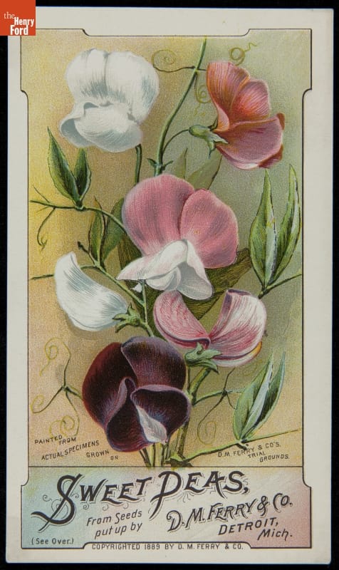 Card with images of white, pink, and dark purple flowers; also contains text