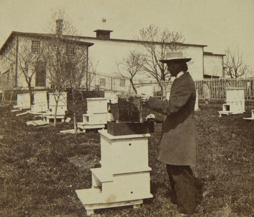 Man standing at what appears to be a white wooden beehives, with other similar beehives around him and a building in the background