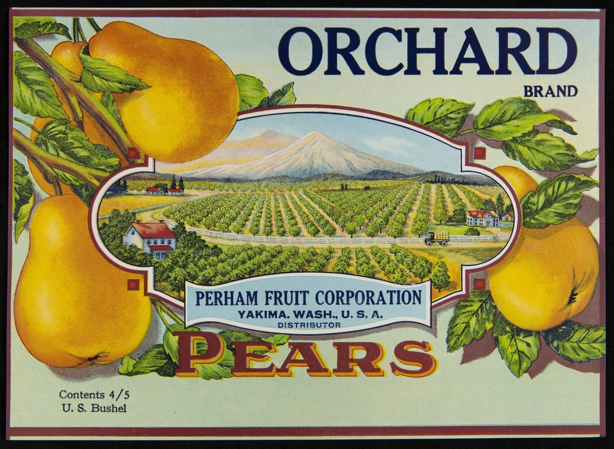 Colorful illustration of yellow pears and rows of trees with mountains in the background, also contains text