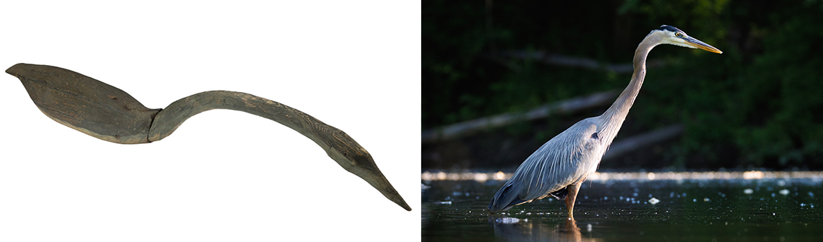 THF374402_bishop a heron and a wooden heron decoy