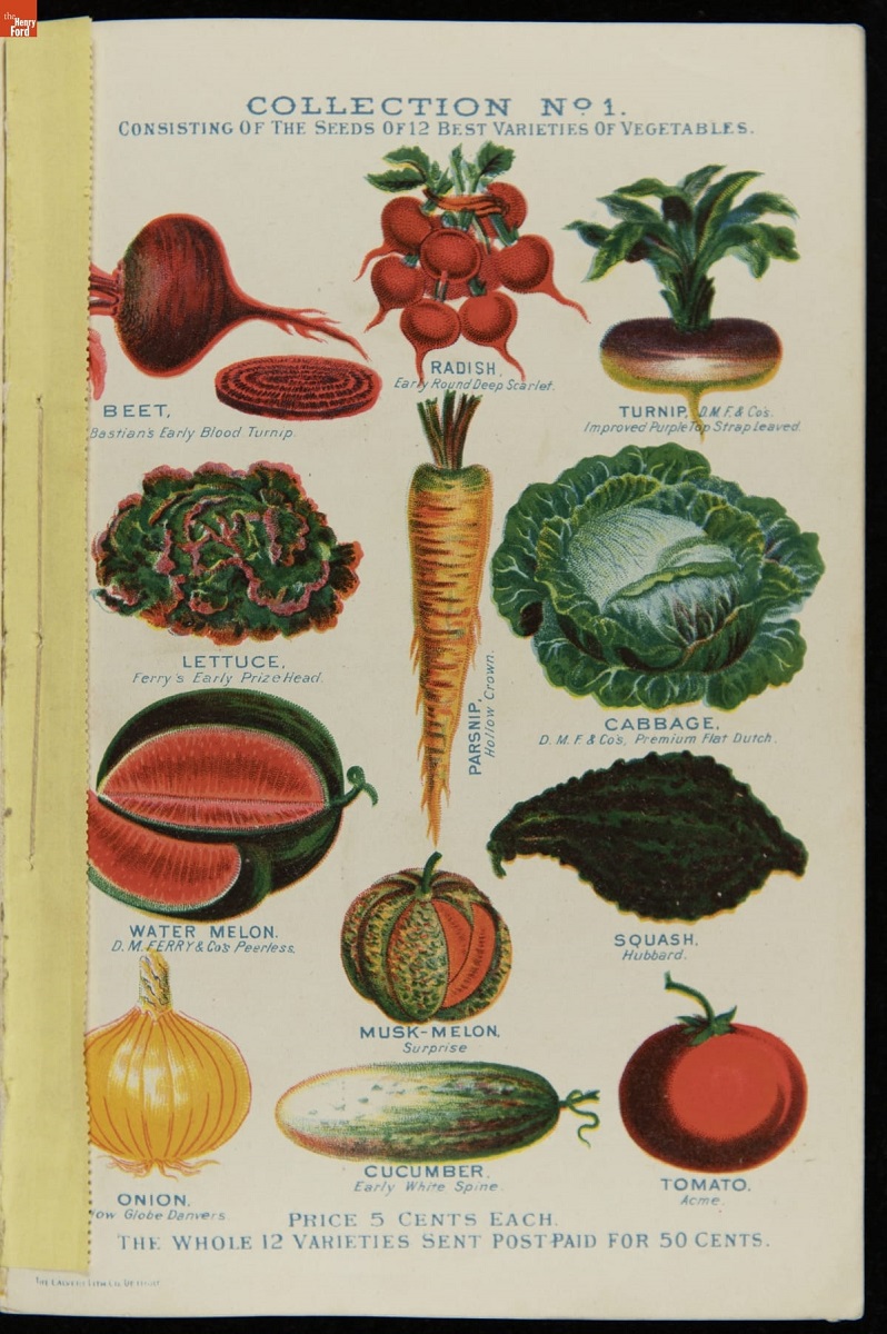 D.M. Ferry & Co.'s Seed Annual Descriptive Catalogue, 1882 / collection 1 Page with text and a variety of vegetables and fruits