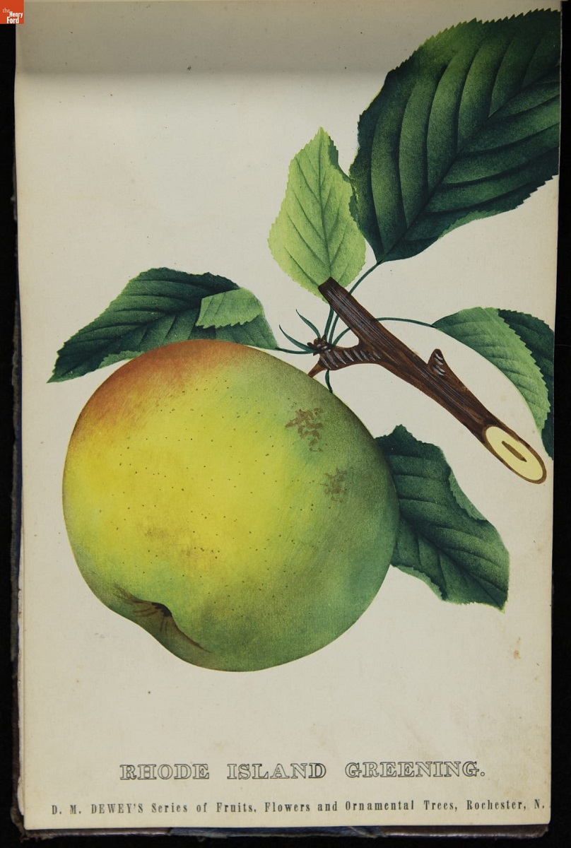 Print of mostly yellow apple with green and red blush with bough and leaves; also contains text
