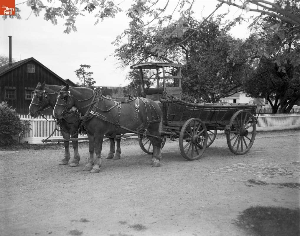 Large open wagon harnessed to two horses in front of a white picket fence and buildings