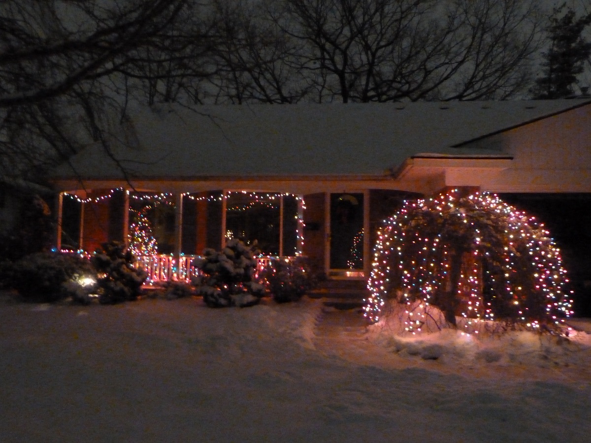 Snowy New Year’s Day, 2014 Christmas lights on tree and porch in front of house in snow