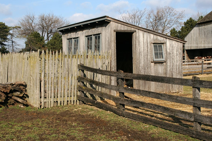 Firestone Chicken Shed